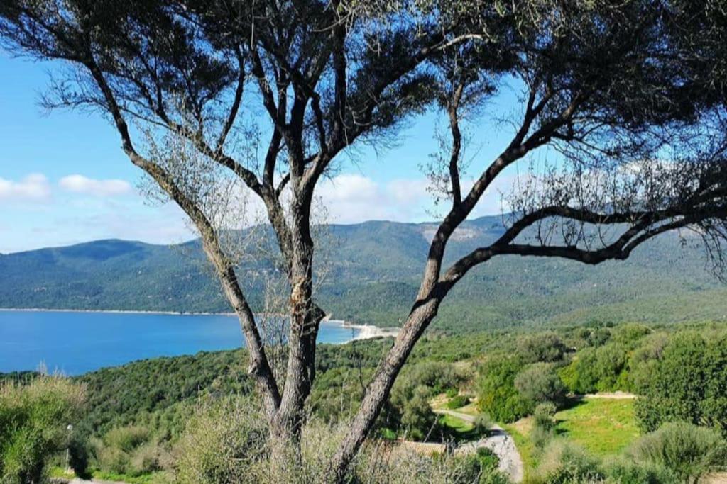 Hébergement de vacances Mini 72, Avec Piscine. Serra-di-Ferro (Corsica)