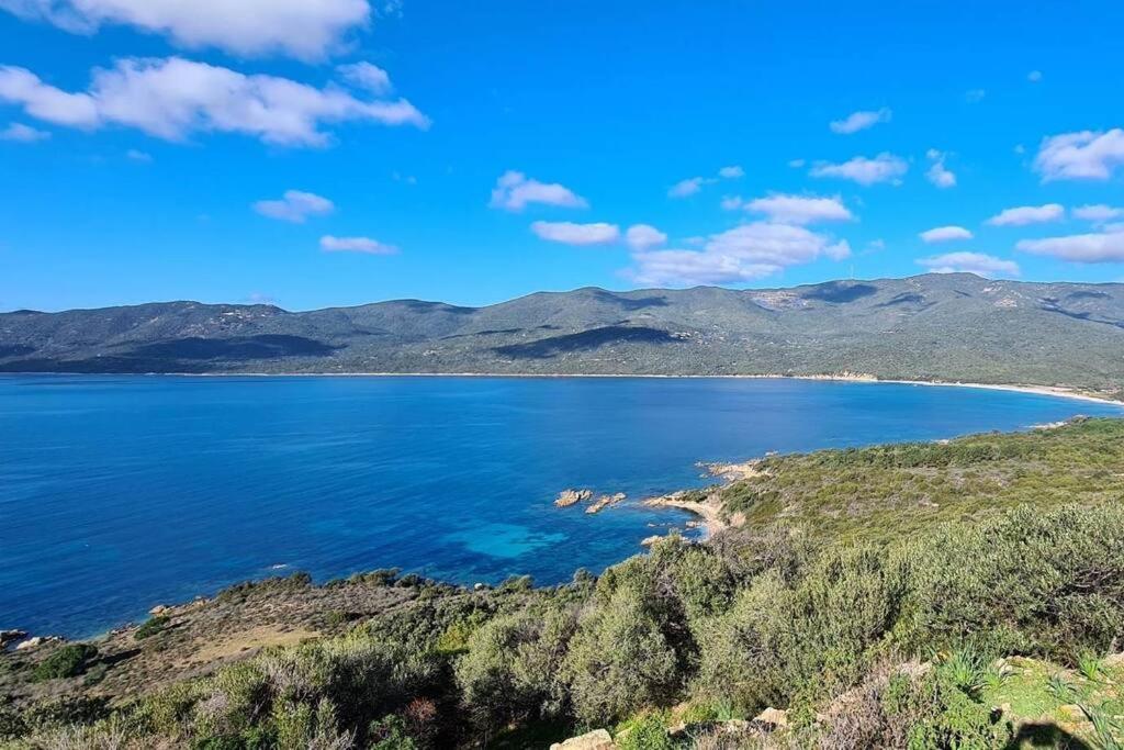 Mini 72, Avec Piscine. Ferienhaus Serra-di-Ferro (Corsica)